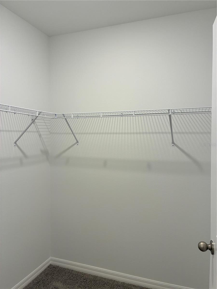 Image 23 of 43 For 32619 Turtle Grace Loop