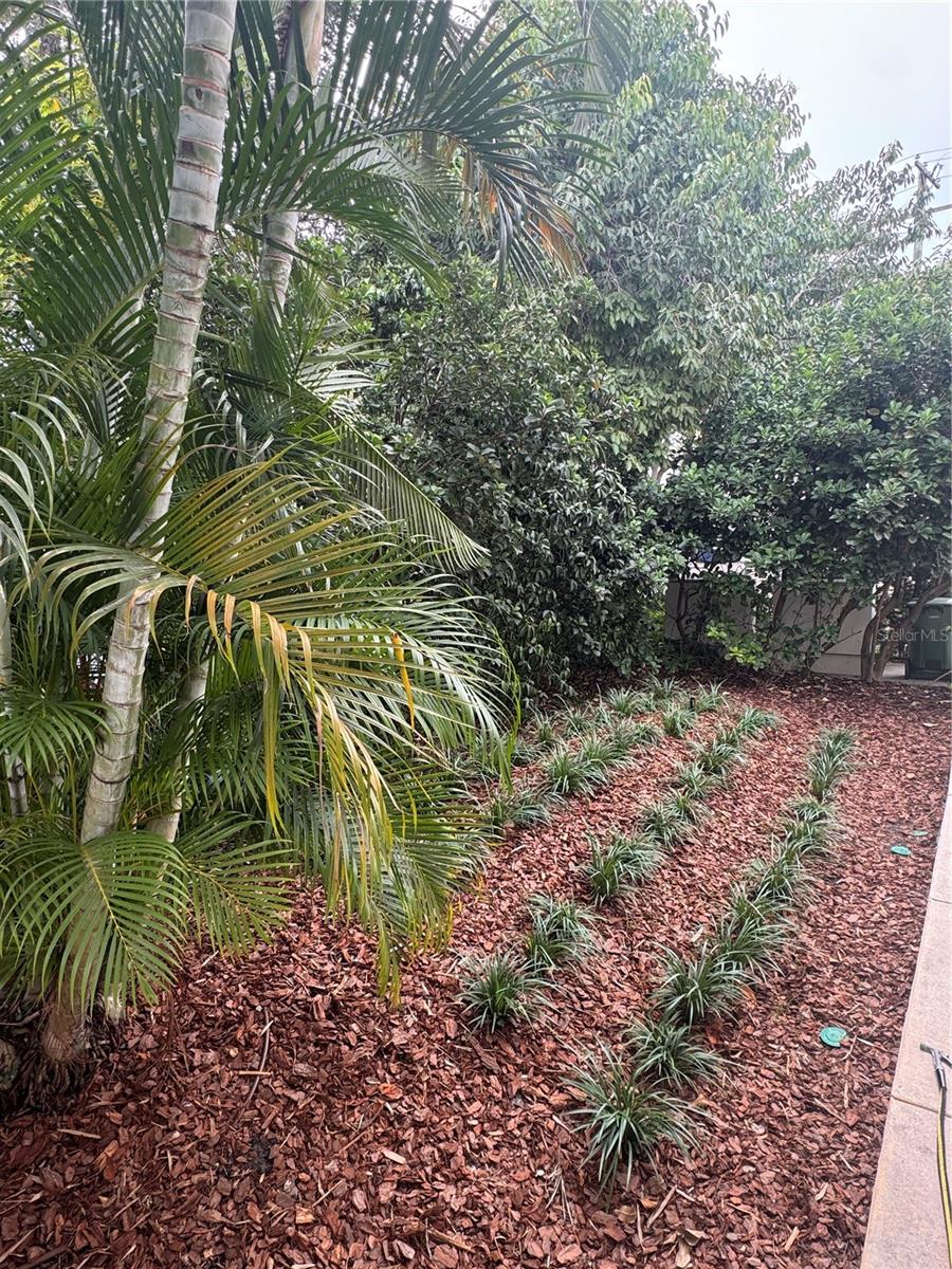 Image 27 of 28 For 331 Trask Street 4