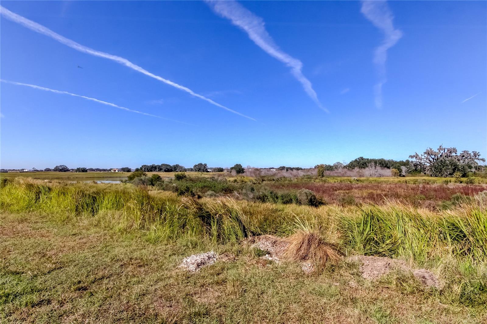 Image 21 of 31 For 11325 Linden Depot Road