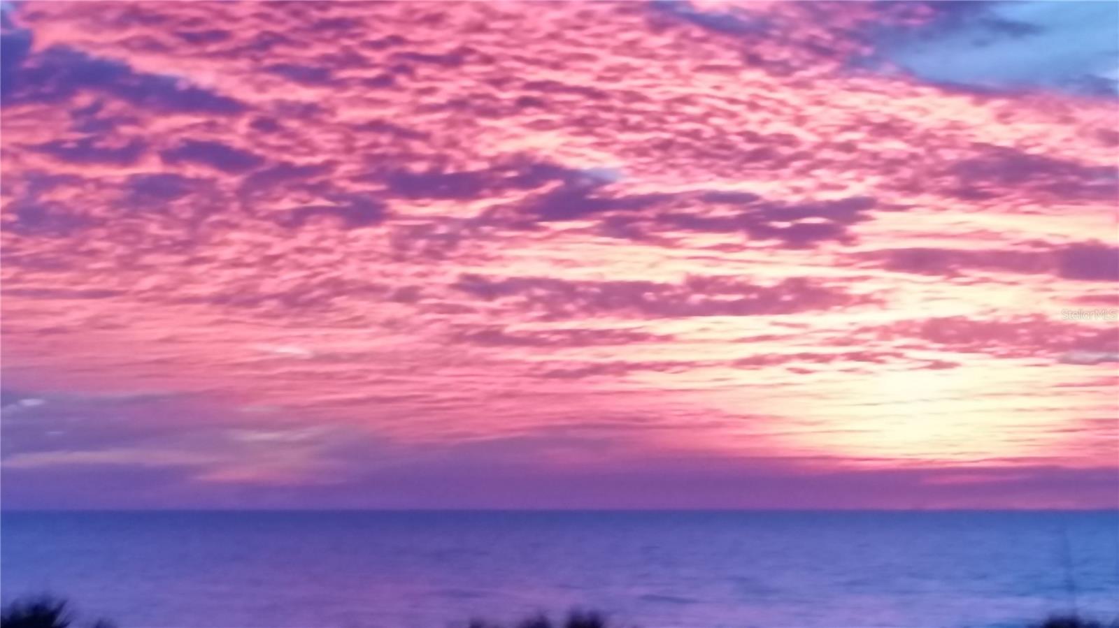 Image 57 of 57 For 6650 Sunset Way  207