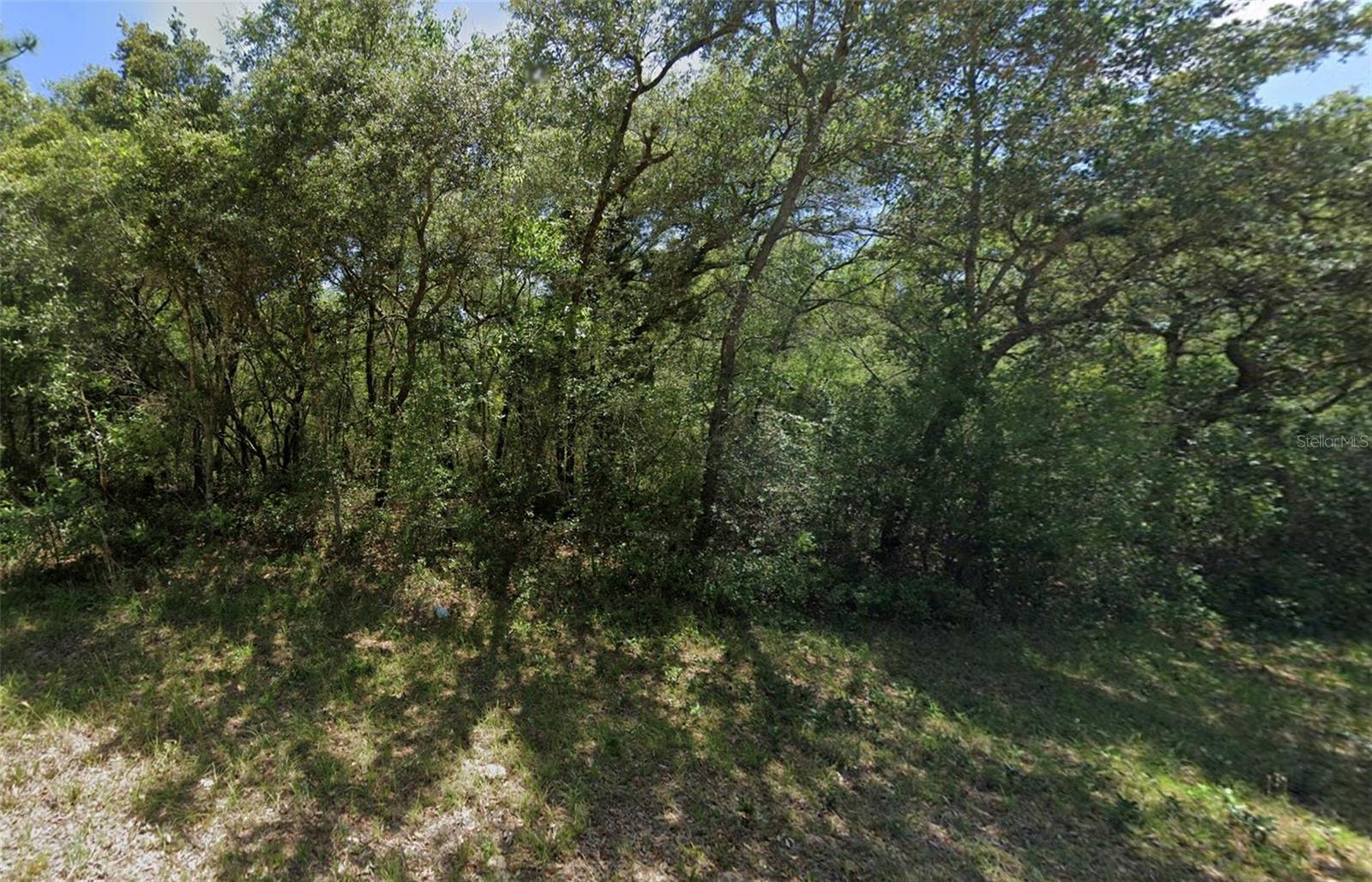 Image 7 of 8 For 3908 Tropic Lane