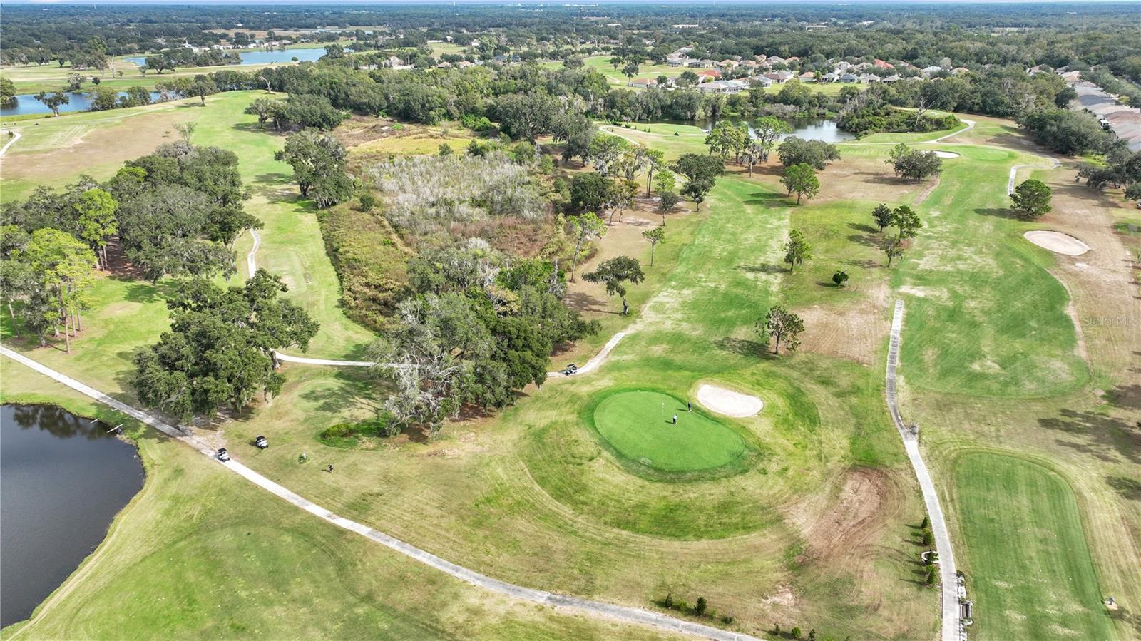 Image 57 of 73 For 1031 Emerald Hill Way