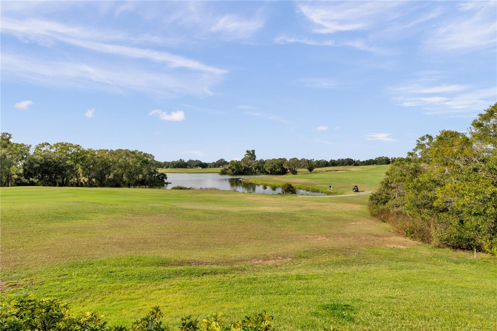 Image 71 of 73 For 1031 Emerald Hill Way