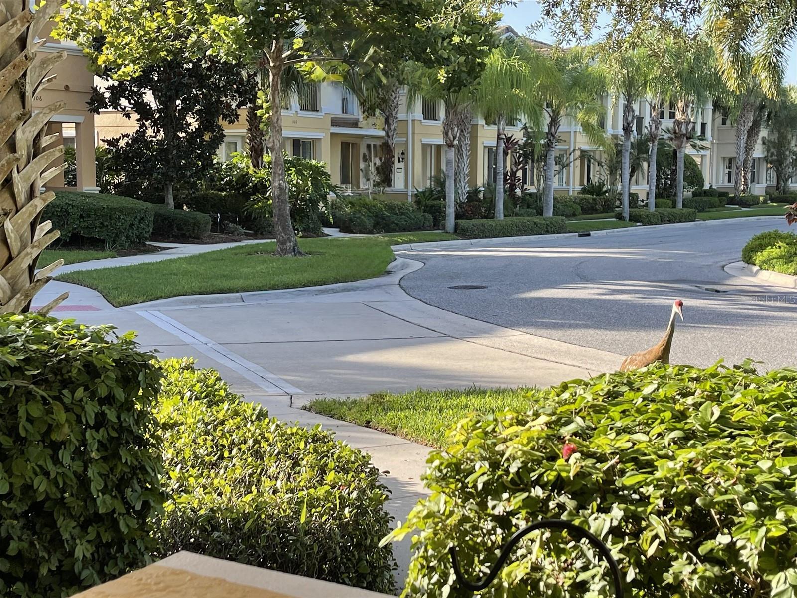 Image 4 of 35 For 3810 82nd Avenue Circle E 106