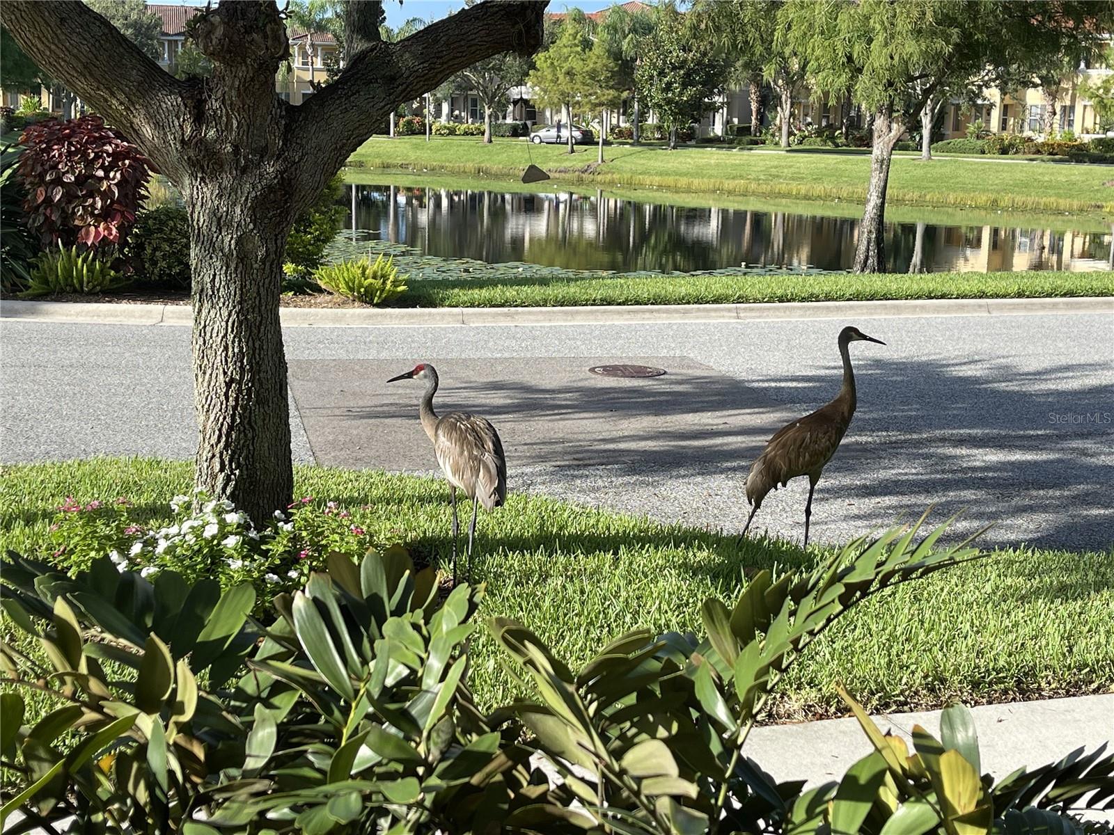 Image 5 of 35 For 3810 82nd Avenue Circle E 106