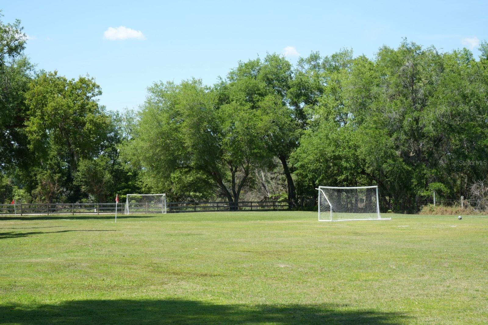 Listing photo id 19 for 7040 Lumberton Road