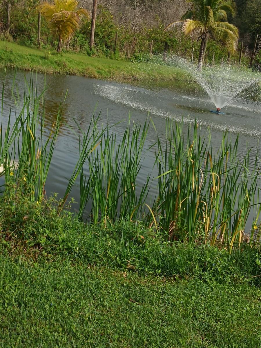 Listing photo id 25 for 7040 Lumberton Road