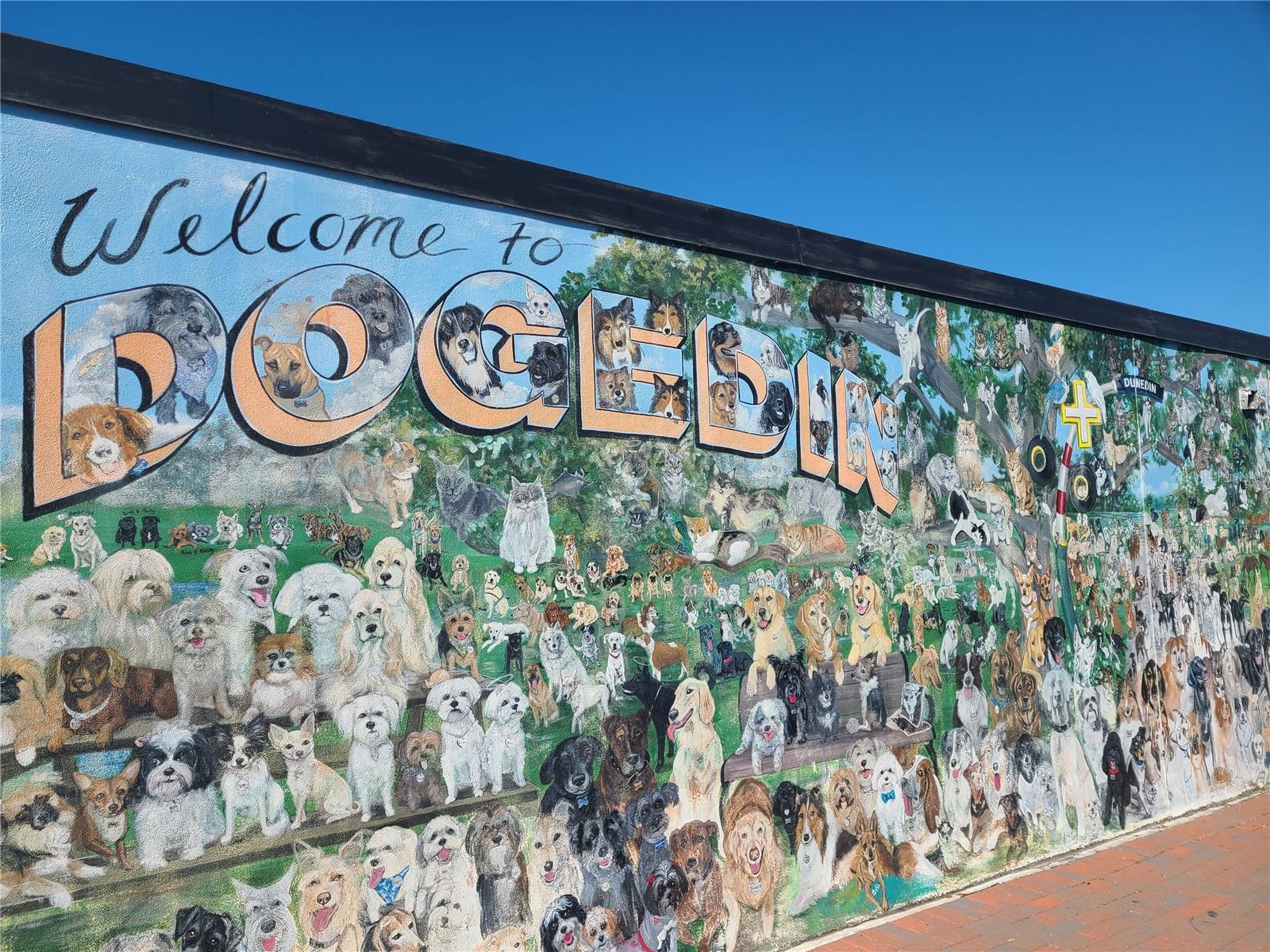 Image 38 of 39 For 917 Michele Circle