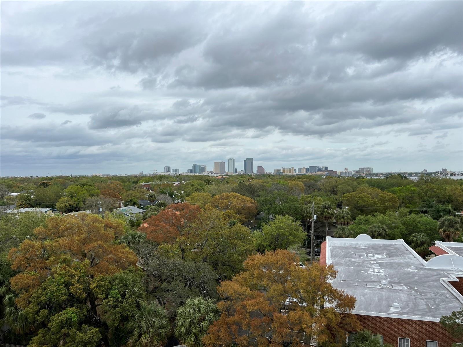 Image 21 of 27 For 2109 Bayshore Boulevard 707