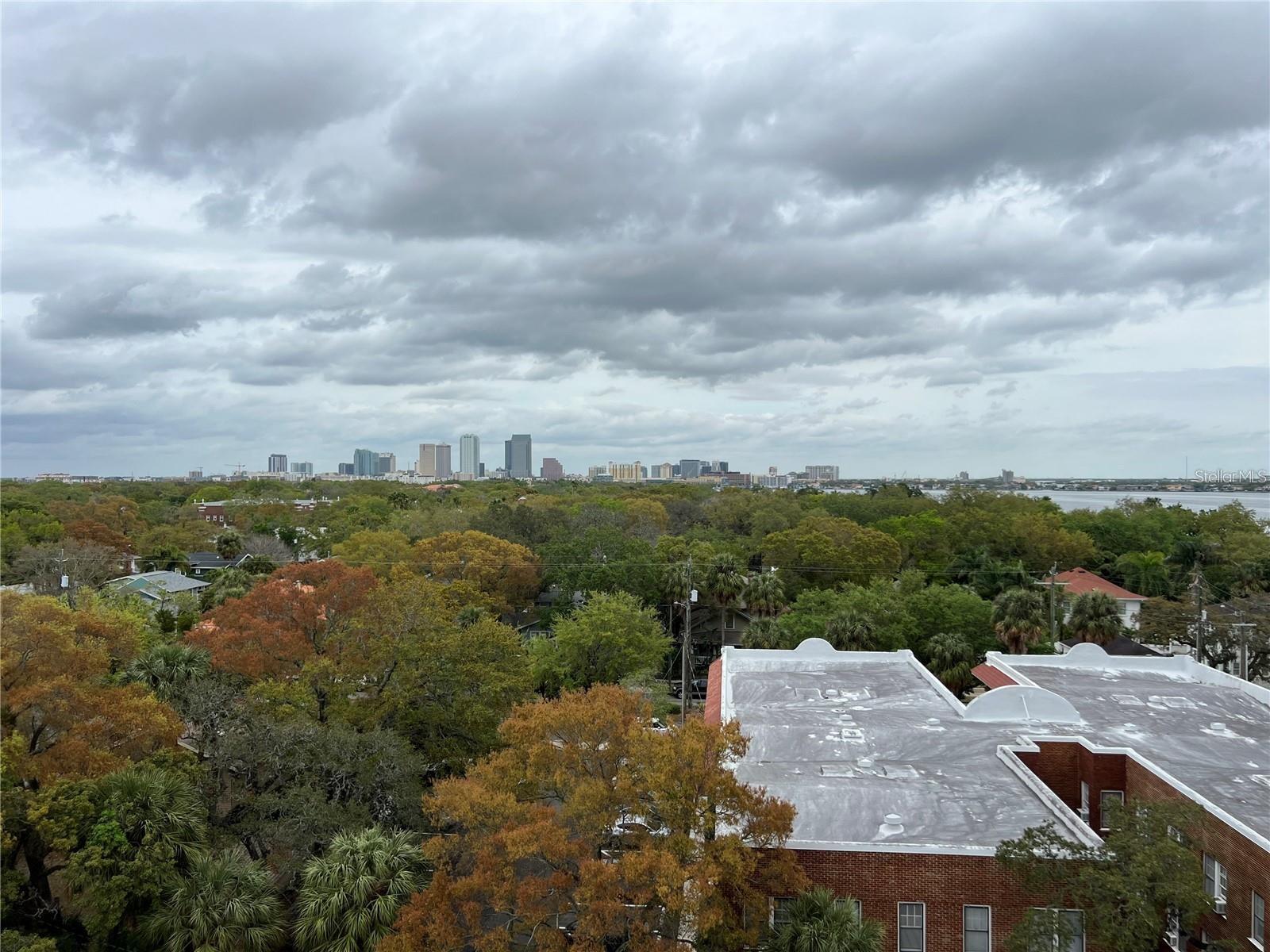 Image 22 of 27 For 2109 Bayshore Boulevard 707