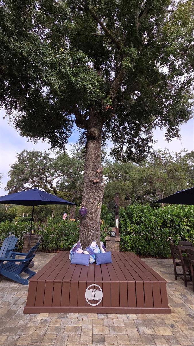 Image 7 of 17 For 332 Bobcat Lane