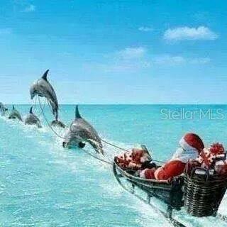 Image 65 of 65 For 1230 Gulf Boulevard 1402