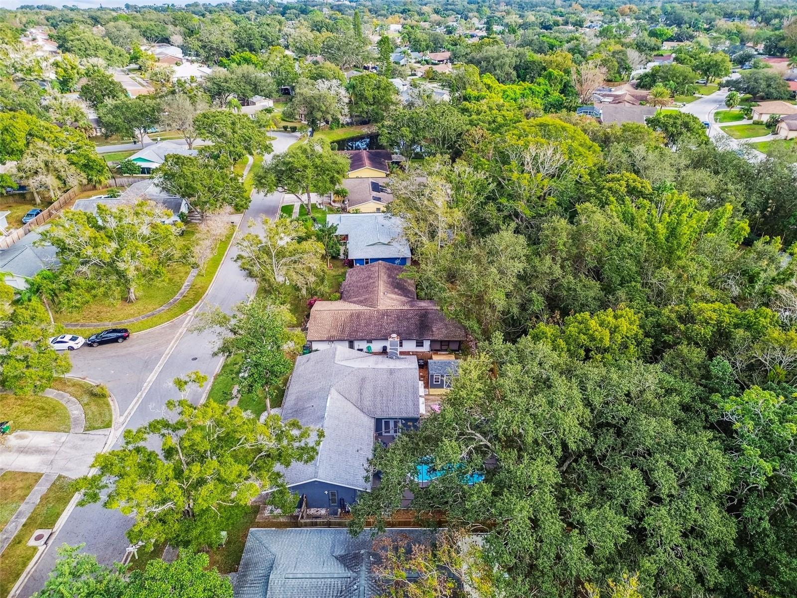 Image 56 of 63 For 49 Valencia Circle