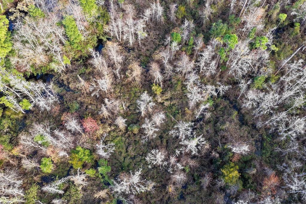 Image 10 of 18 For Little John Drive