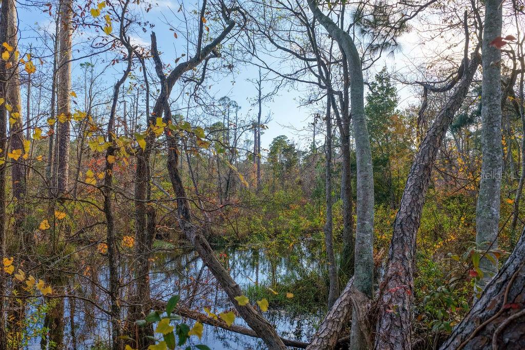 Image 13 of 18 For Little John Drive