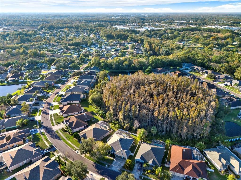 Image 48 of 50 For 28701 Falling Leaves Way