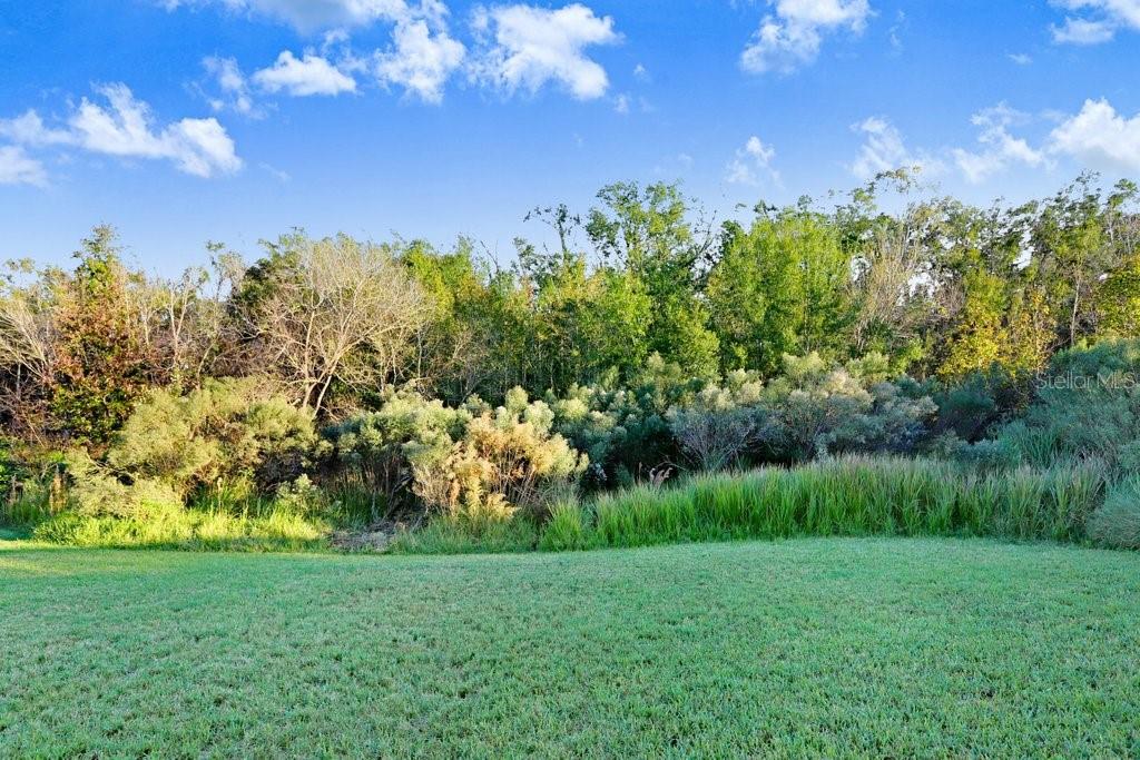 Image 27 of 42 For 4616 Roslyn Court