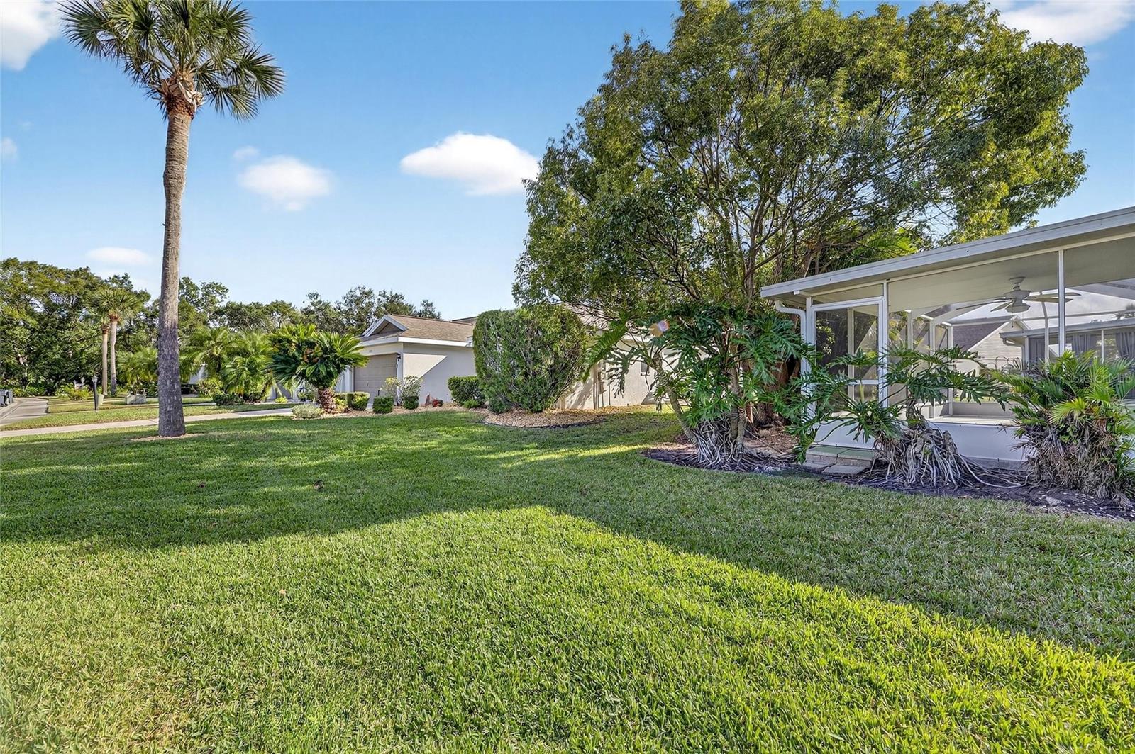 Image 44 of 50 For 2007 W Del Webb Boulevard