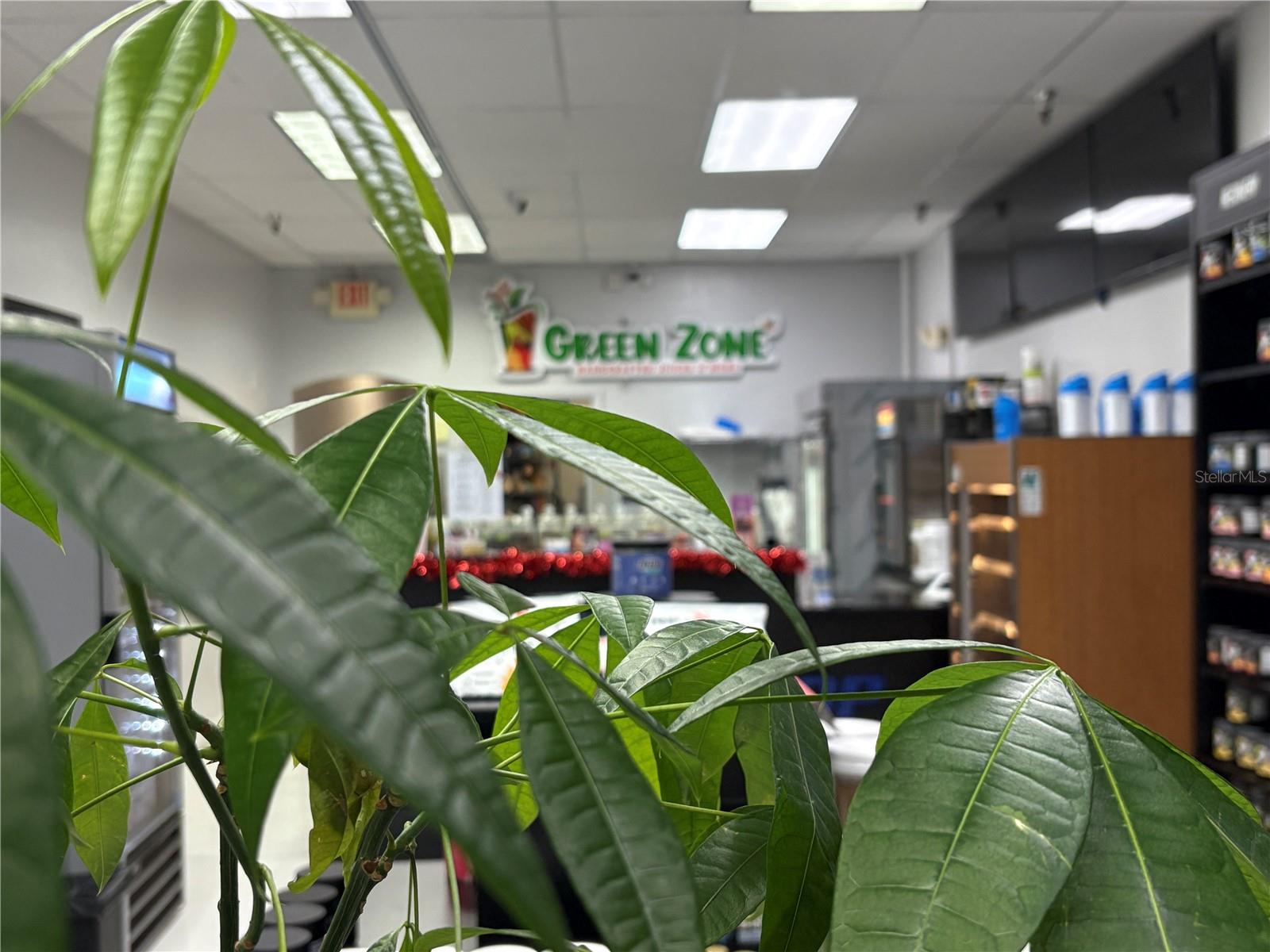 Image 4 of 12 For Lithia Pinecrest Road