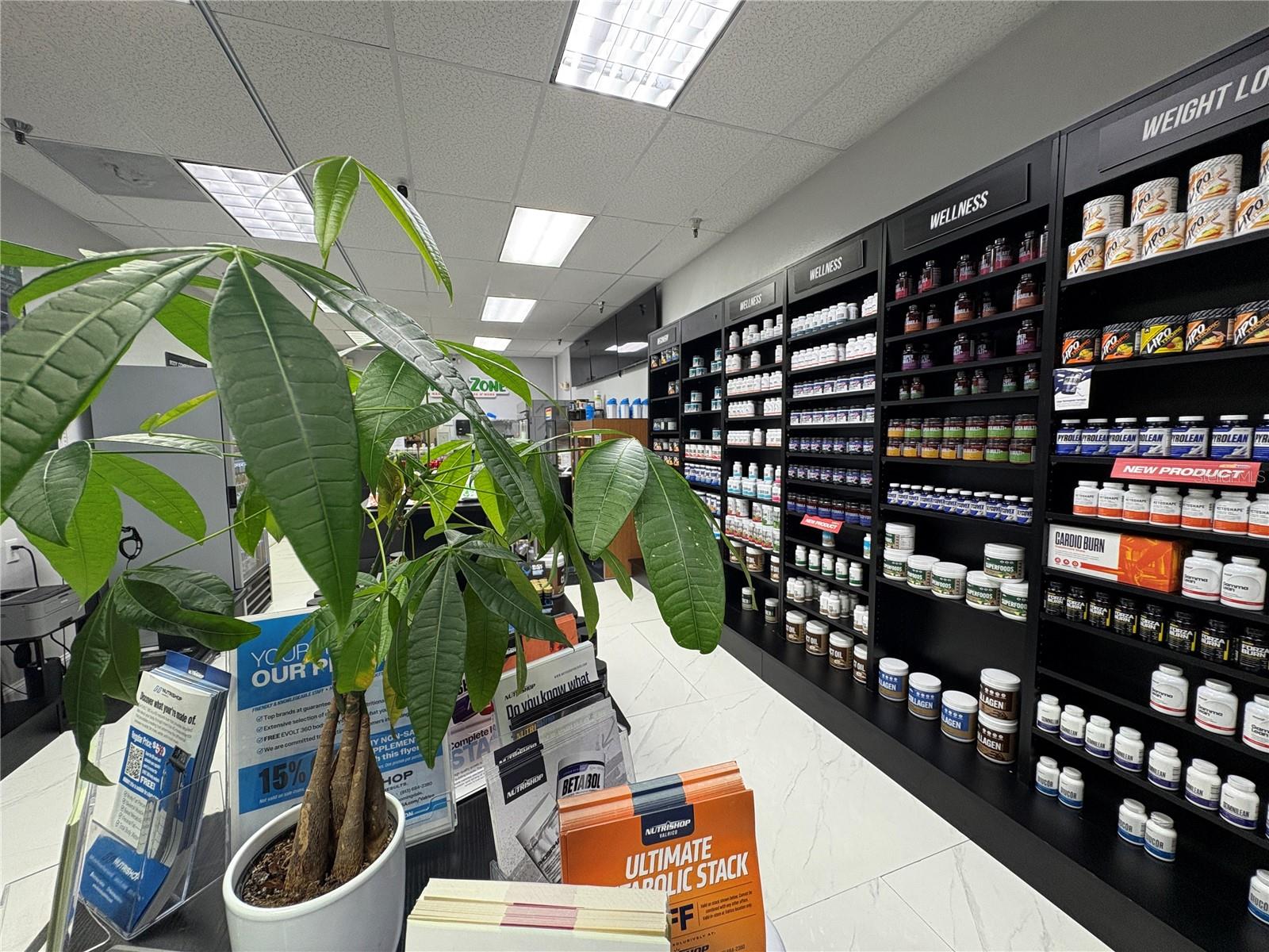 Image 8 of 12 For Lithia Pinecrest Road