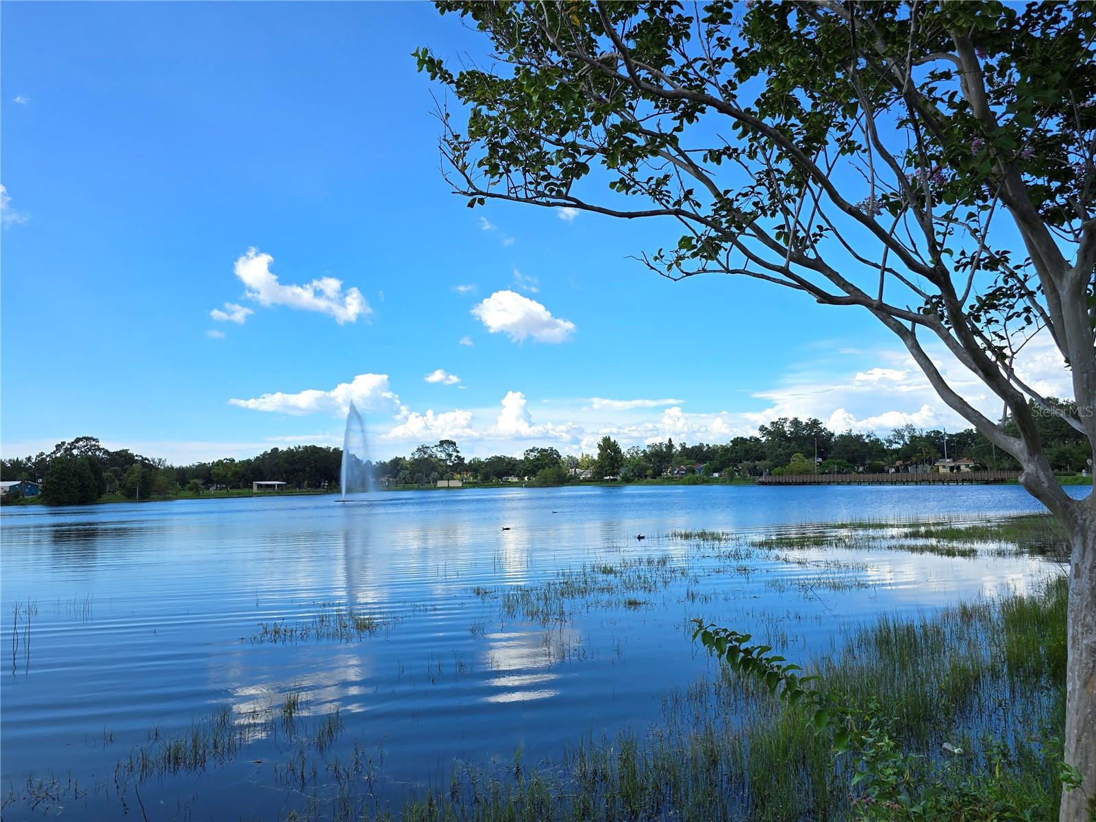 Image 35 of 48 For 912 Grand Central St