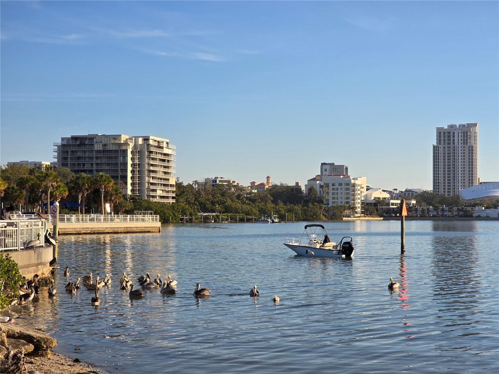 Image 39 of 48 For 912 Grand Central St