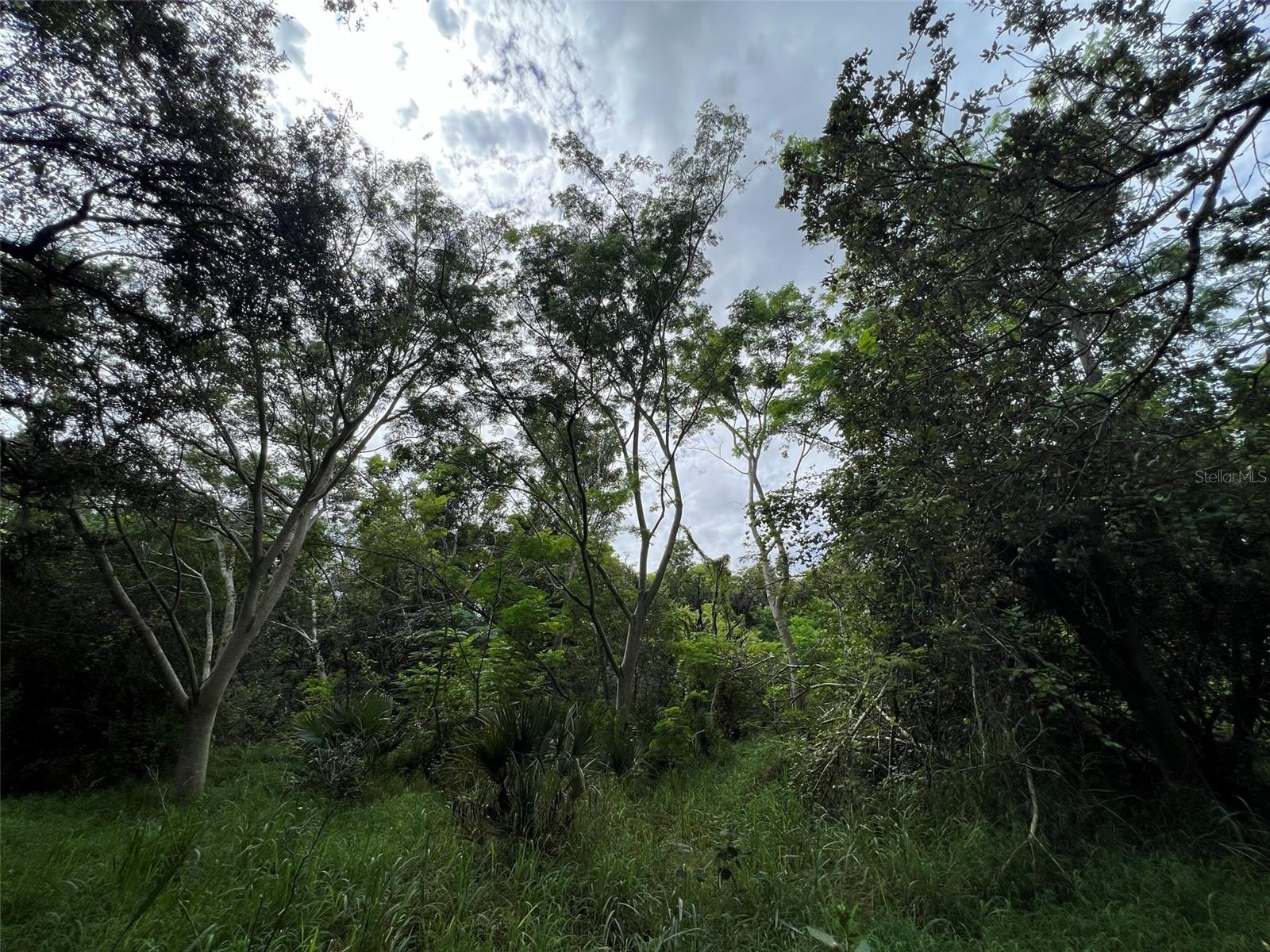 Image 21 of 21 For 11117 Mcmullen Road