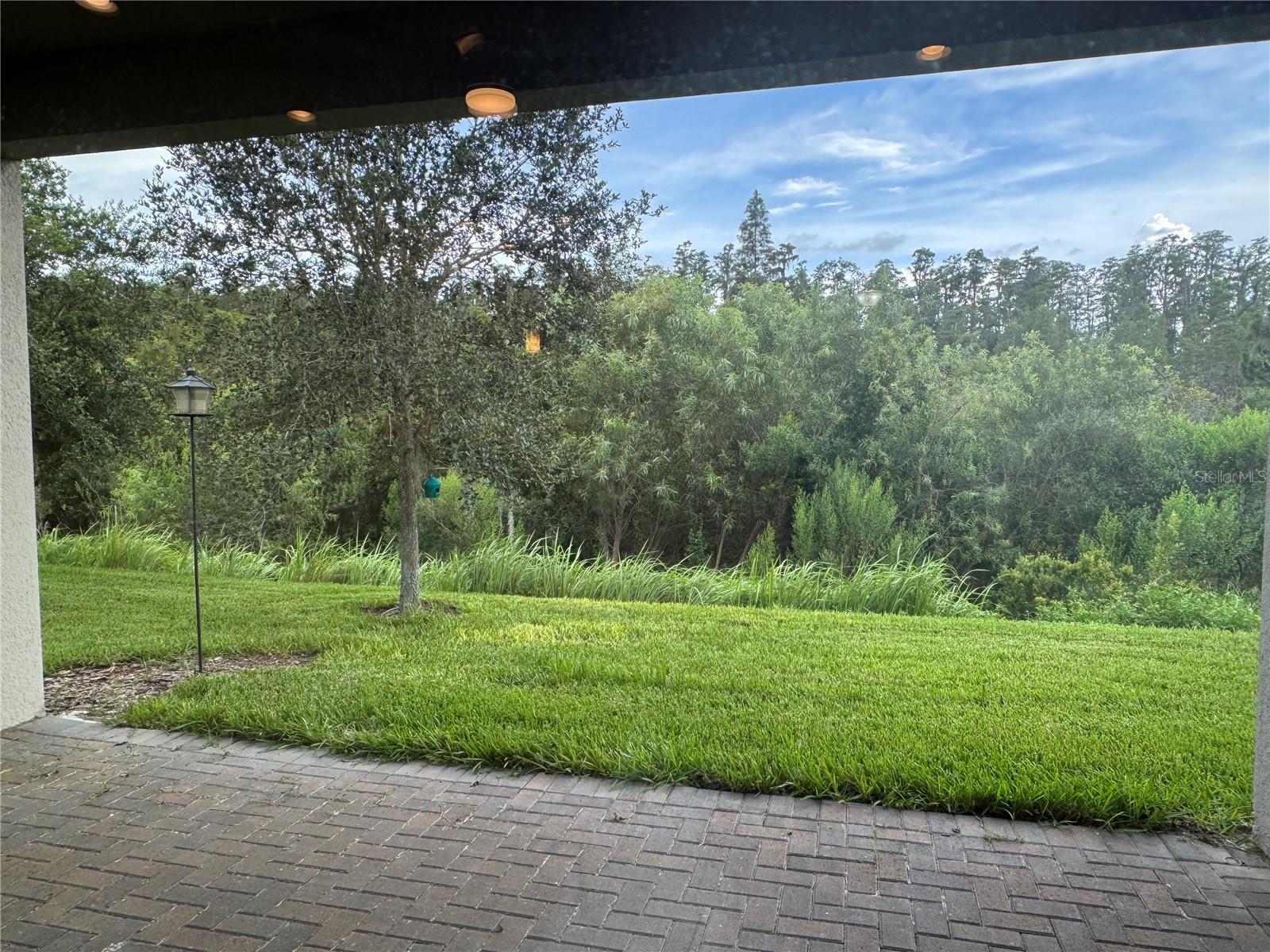 Image 37 of 50 For 30788 Lindentree Drive