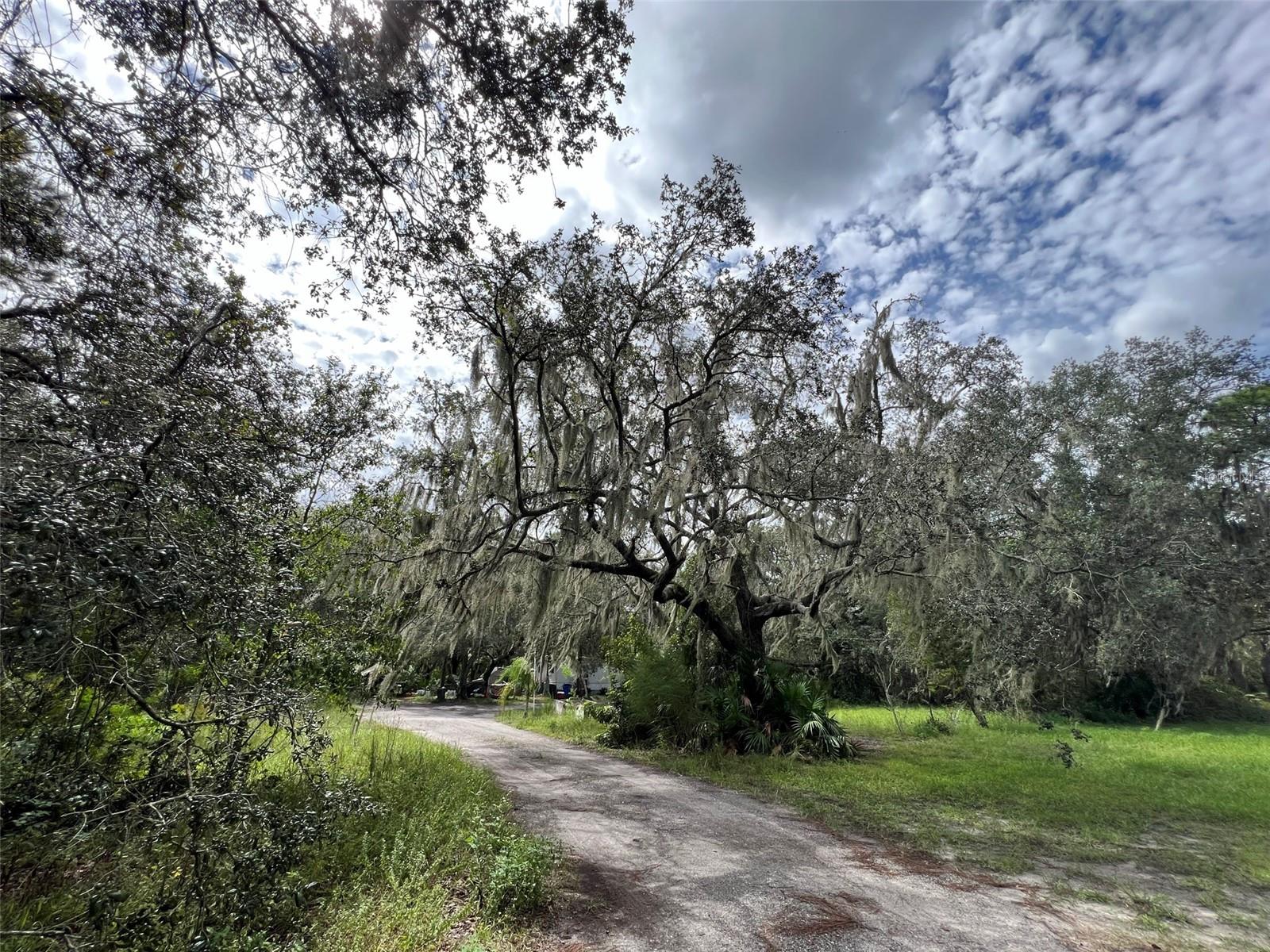 Image 12 of 26 For 11117 Mcmullen Road