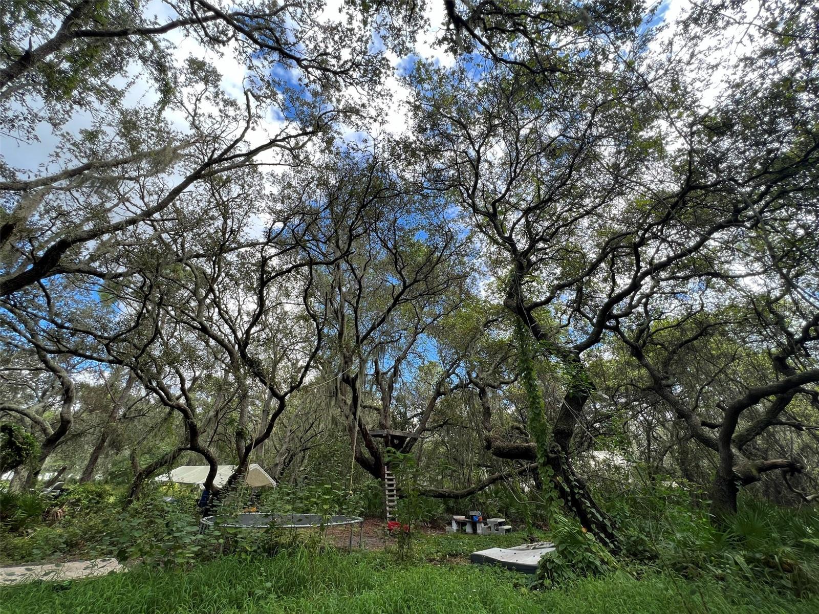 Image 20 of 26 For 11117 Mcmullen Road