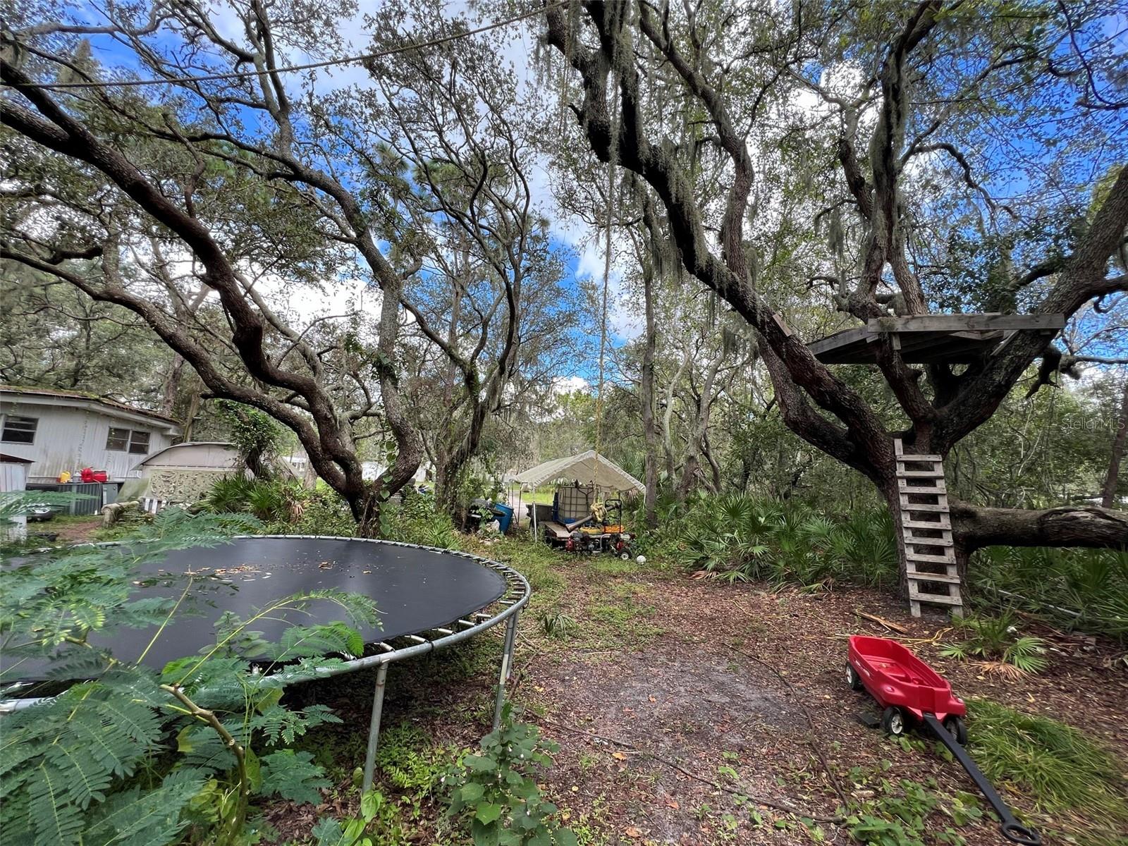 Image 21 of 26 For 11117 Mcmullen Road