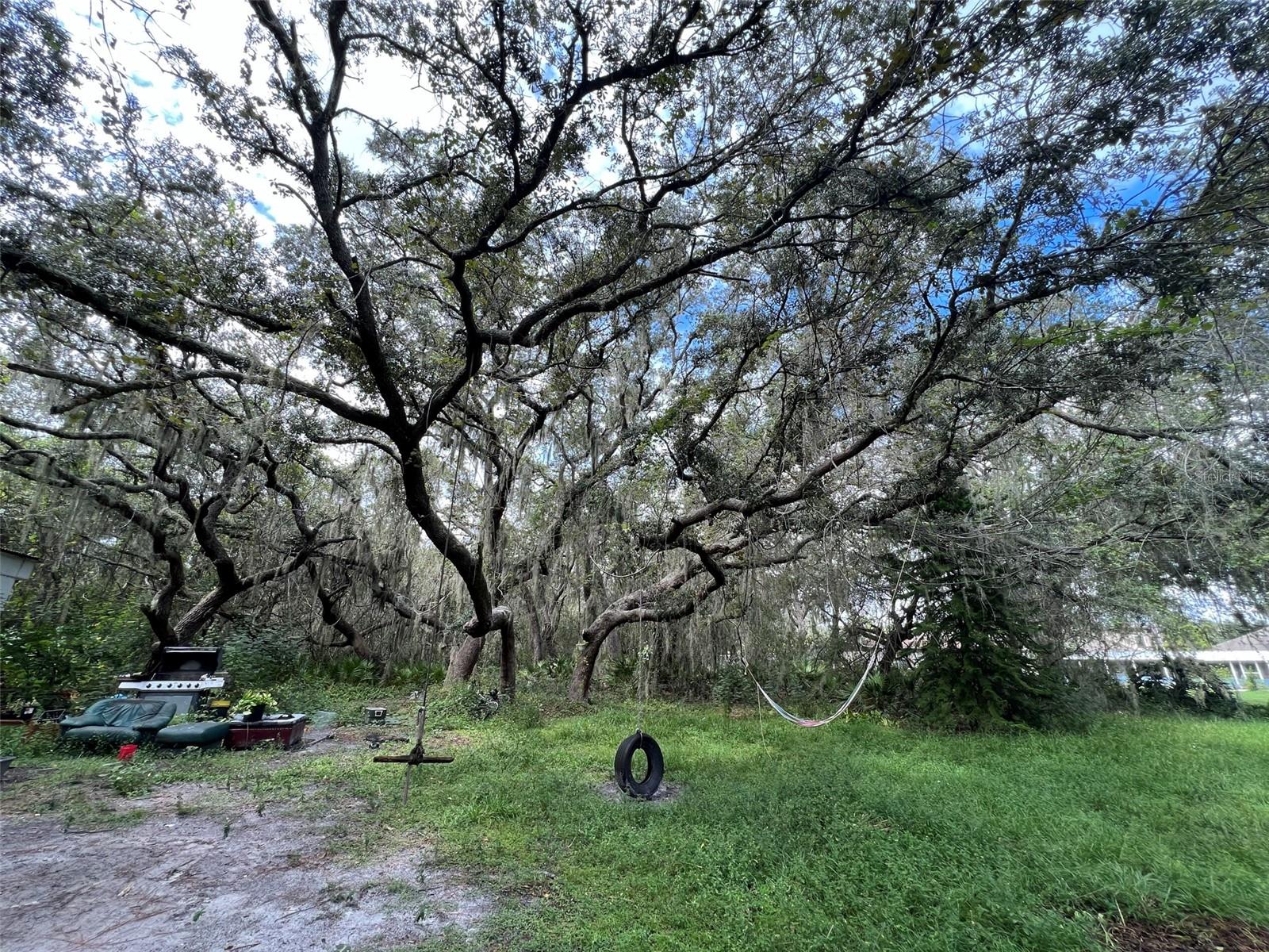 Image 25 of 26 For 11117 Mcmullen Road