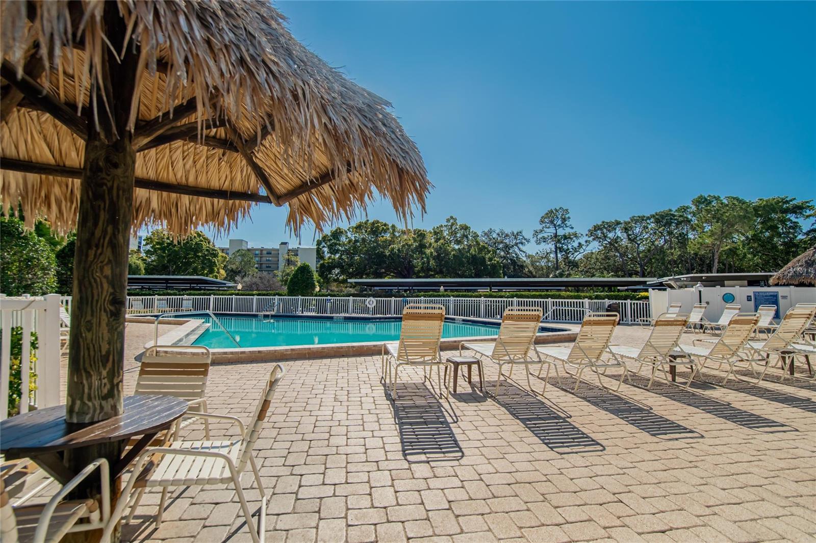 Image 36 of 67 For 2900 Cove Cay Drive 2f