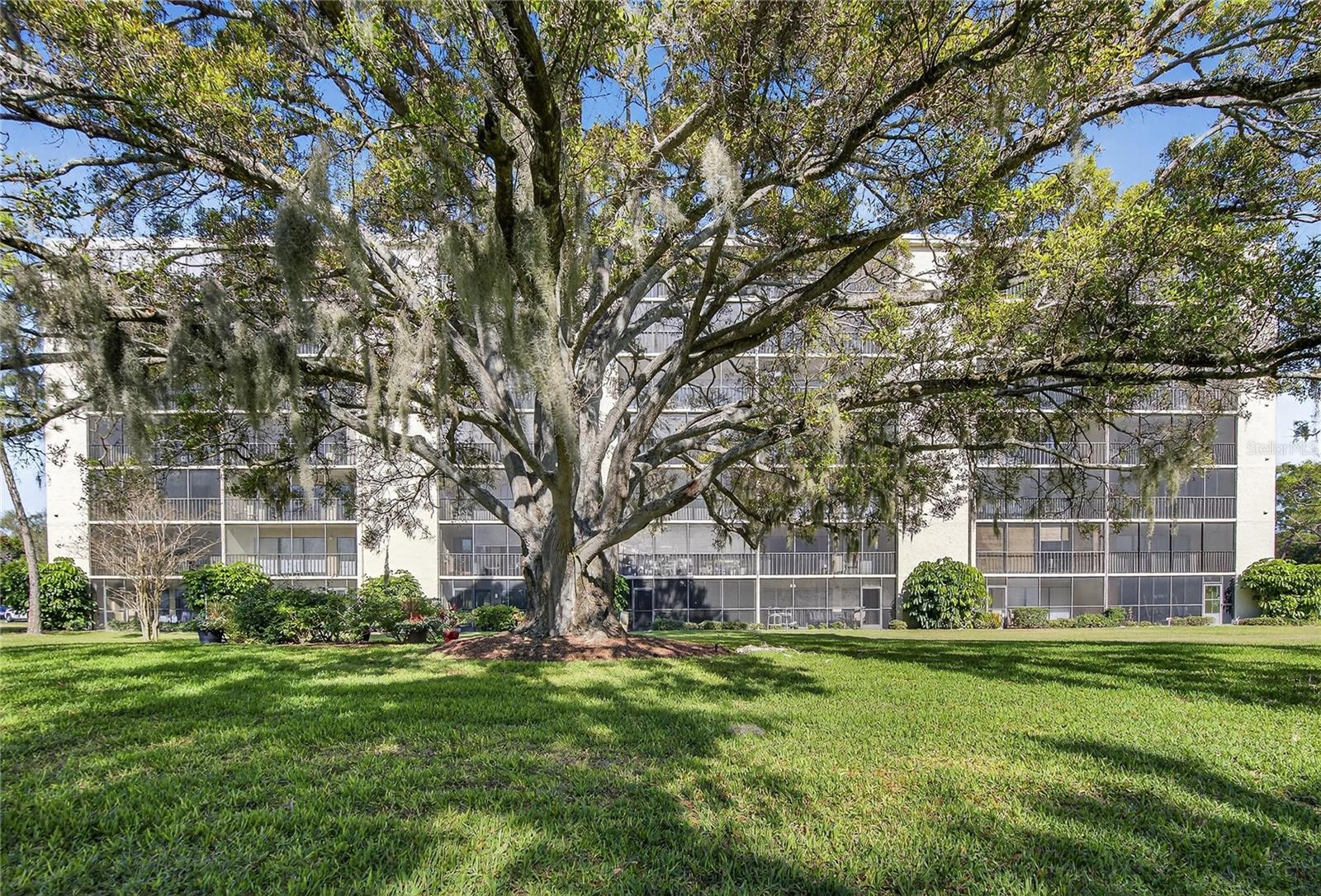 Image 62 of 67 For 2900 Cove Cay Drive 2f