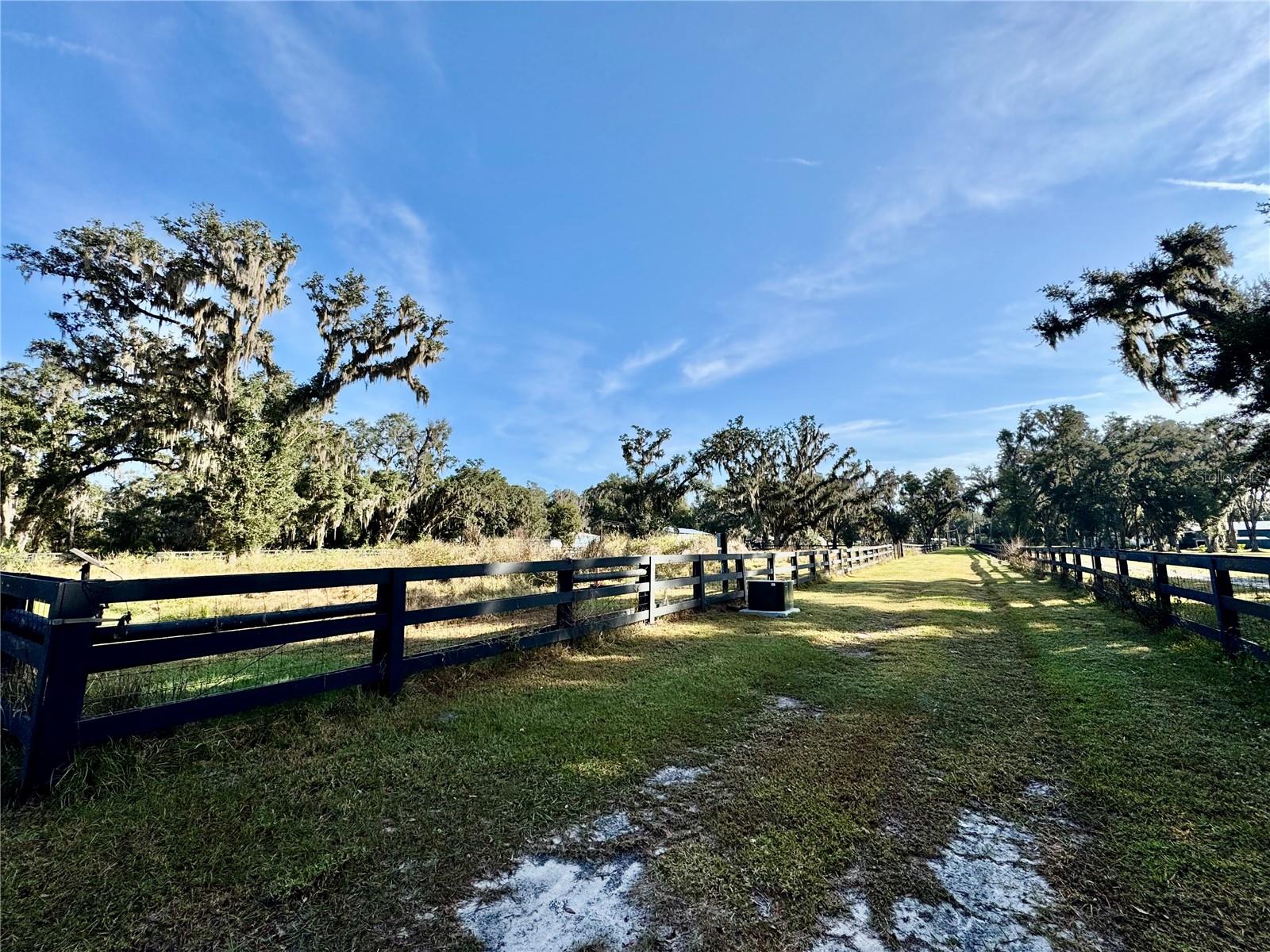 Listing photo id 0 for 2909 Wilder Road
