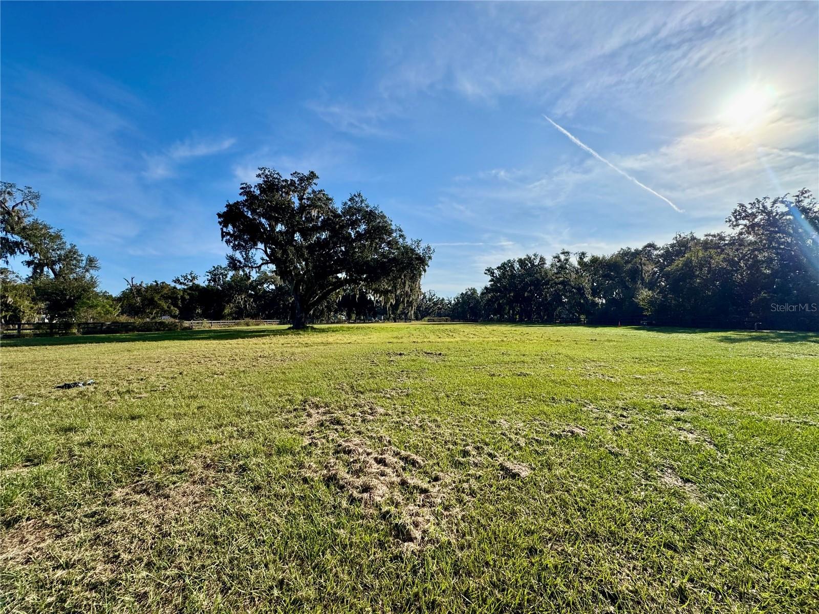 Listing photo id 1 for 2909 Wilder Road