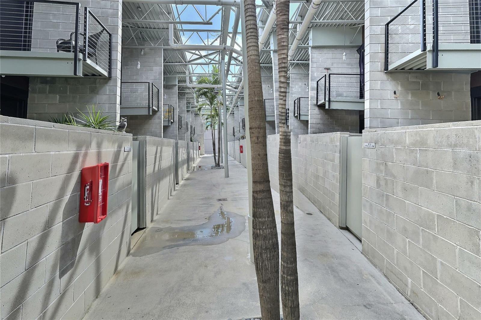 Image 2 of 25 For 217 12th Street 114