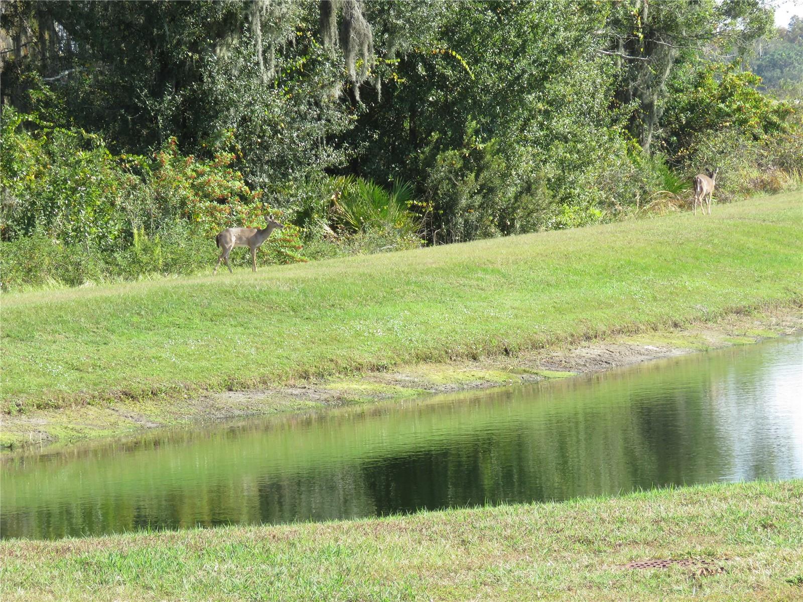 Image 19 of 27 For 15518 Miller Creek Drive