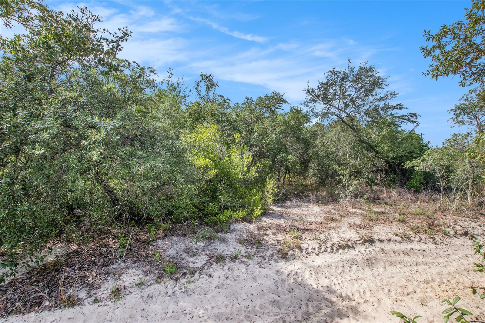 Image 14 of 26 For 0 Shady Hills