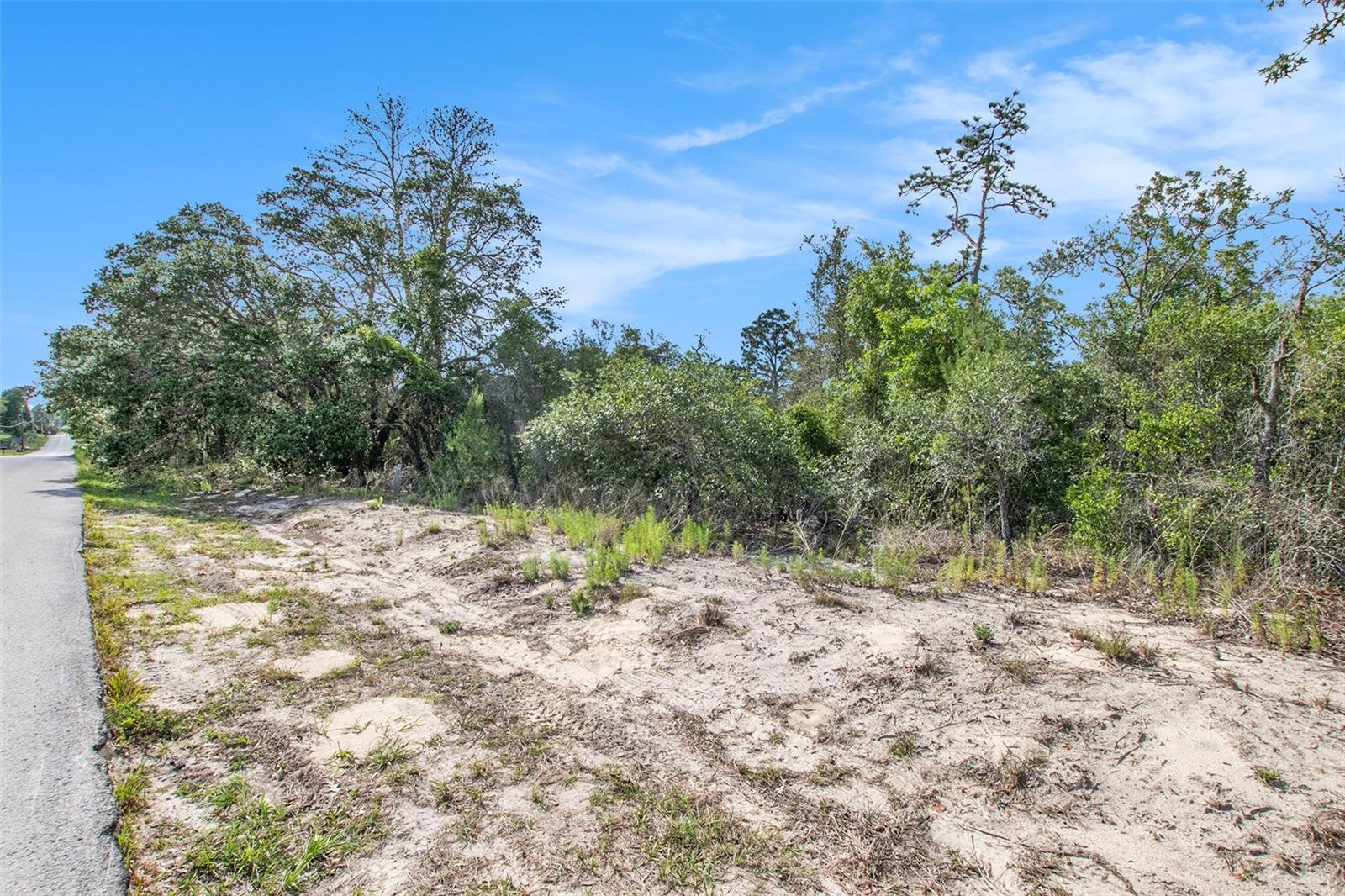 Image 15 of 26 For 0 Shady Hills