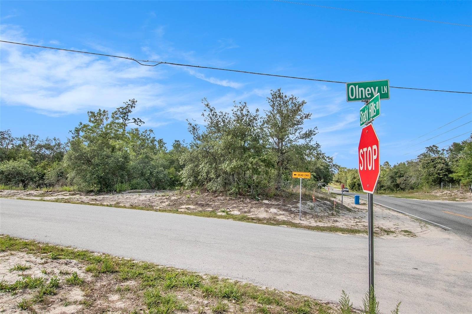 Image 16 of 26 For 0 Shady Hills