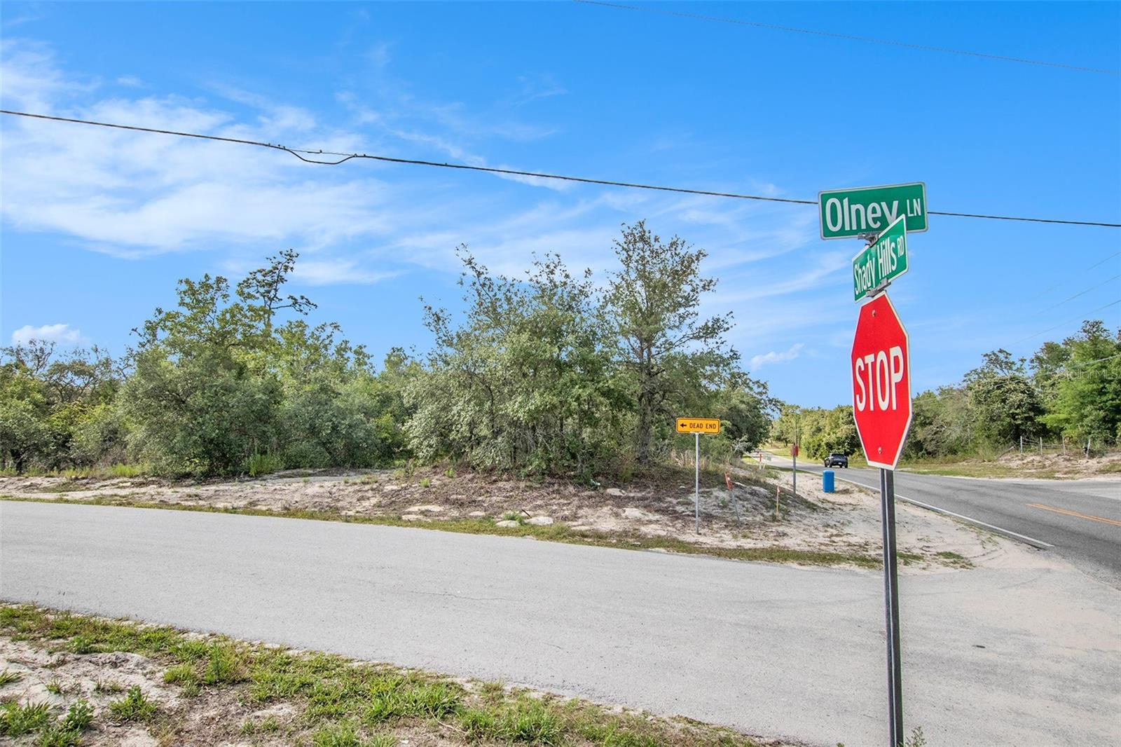 Image 17 of 26 For 0 Shady Hills