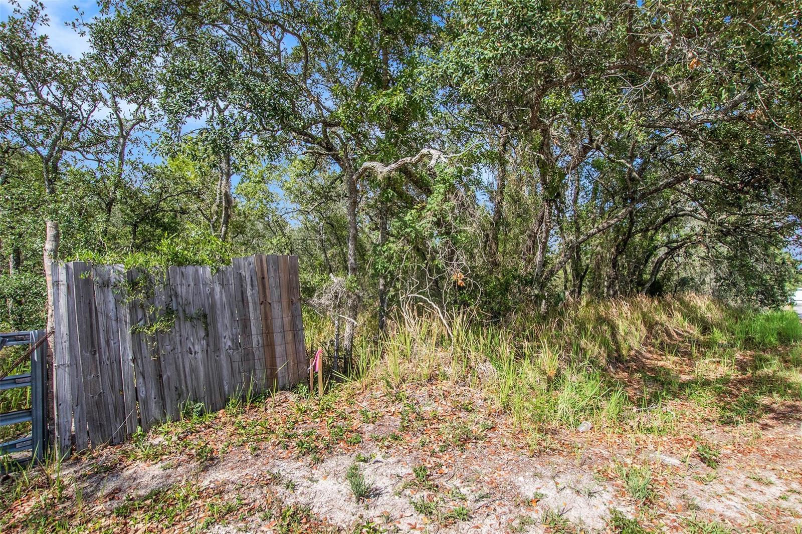 Image 18 of 26 For 0 Shady Hills