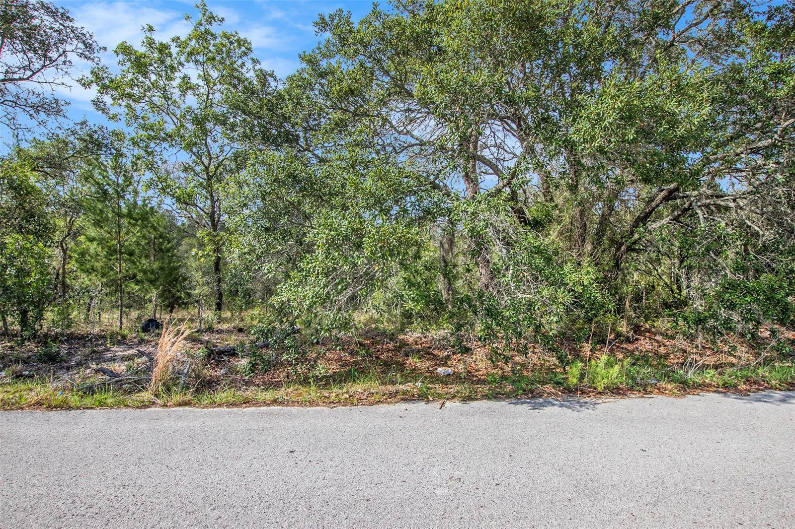 Image 19 of 26 For 0 Shady Hills