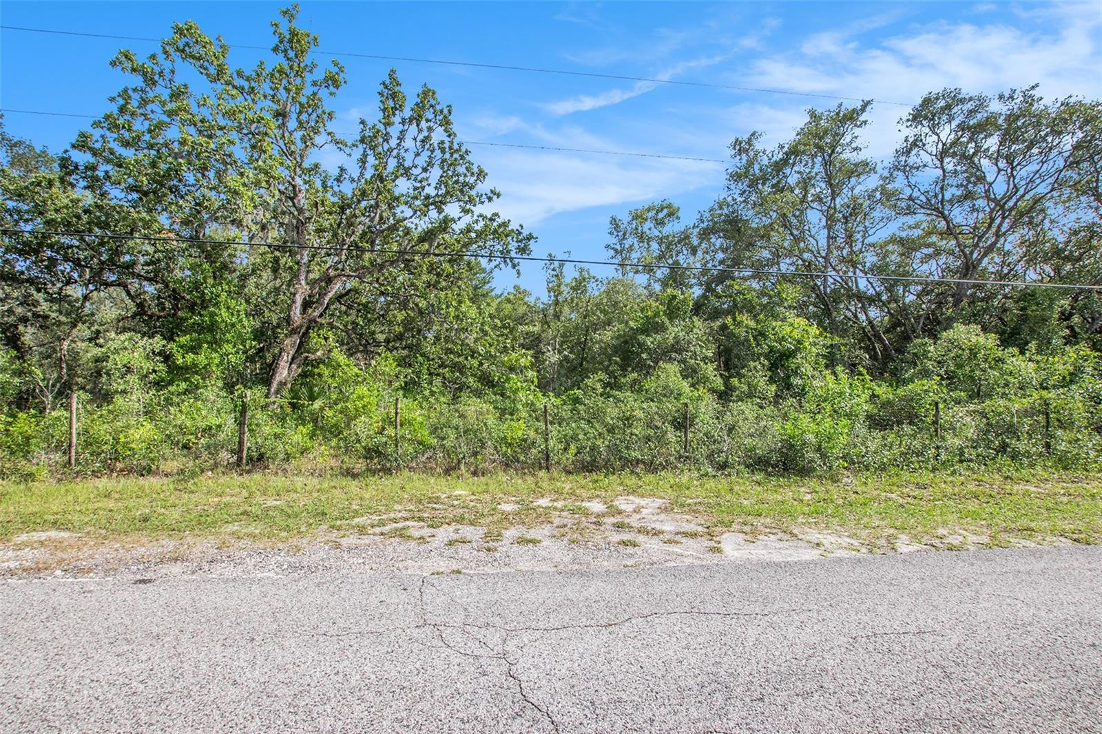 Image 23 of 26 For 0 Shady Hills