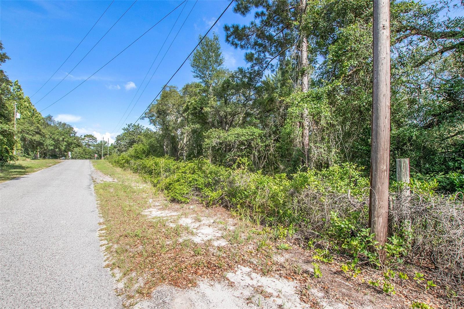 Image 25 of 26 For 0 Shady Hills