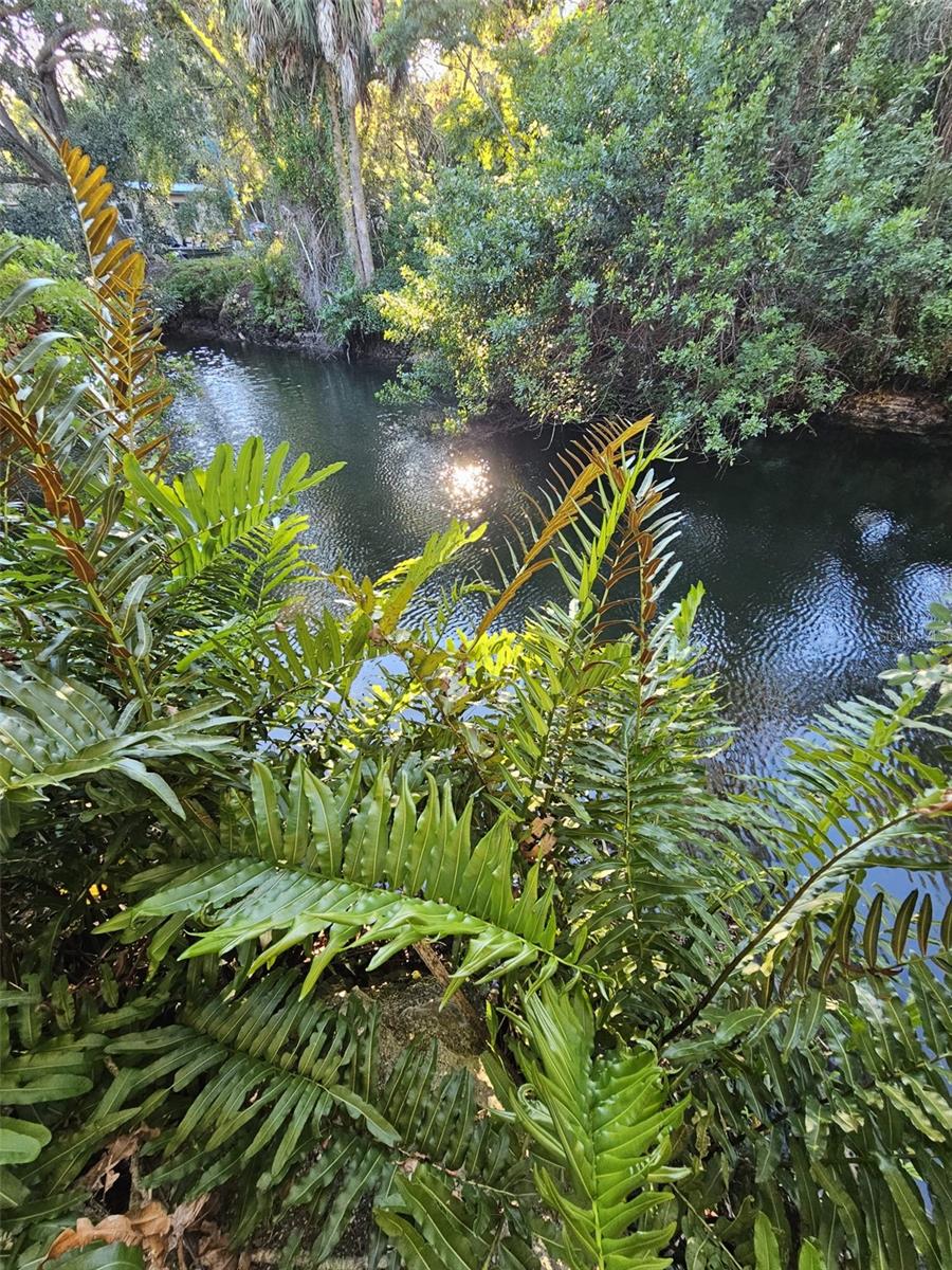 Image 3 of 17 For 14635 Coral Drive