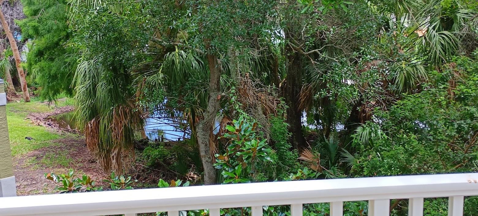 Image 31 of 31 For 463 Bayou Village Drive