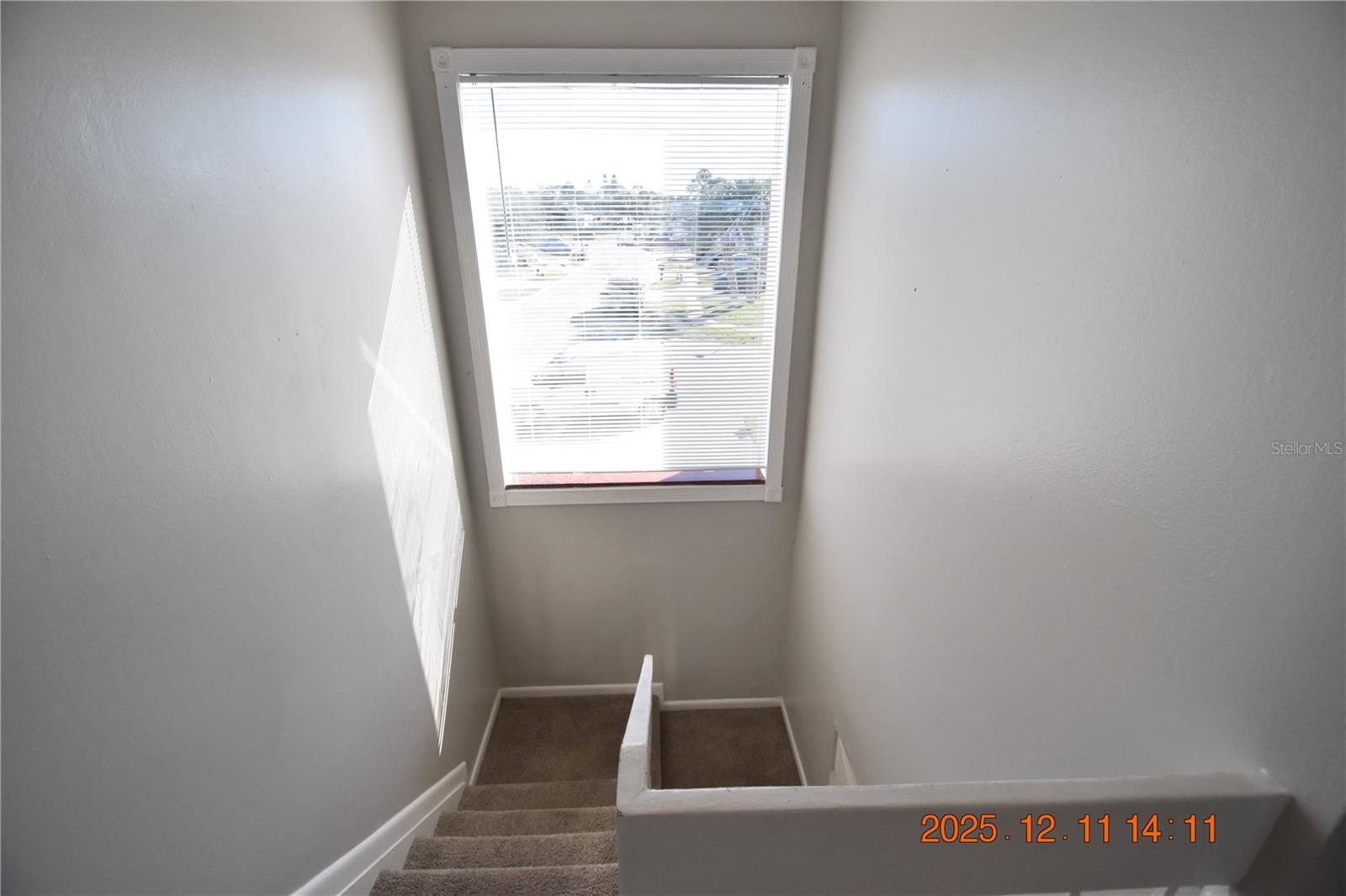 Image 17 of 41 For 10541 Parkcrest Drive