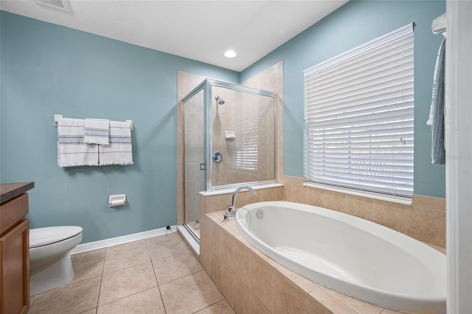 Image 26 of 77 For 21351 Morning Mist Way